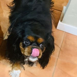 Meet your Posher, Genevieve